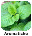 OBB Aromatiche